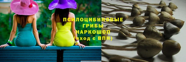 гидра Бронницы
