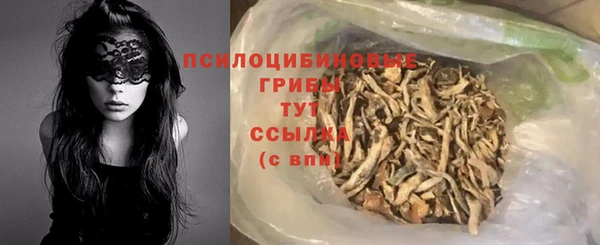дживик Верея