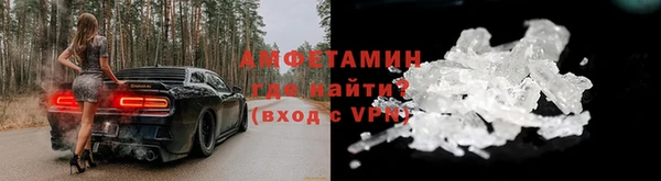 гидра Бронницы