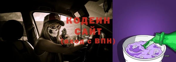 индика Володарск