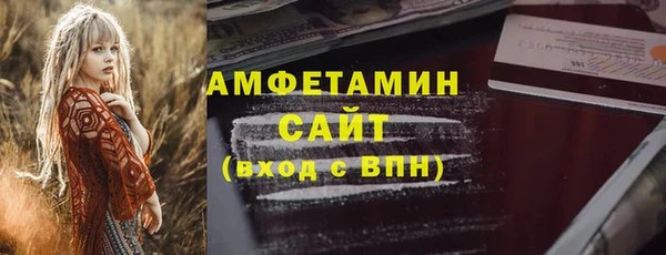 индика Володарск